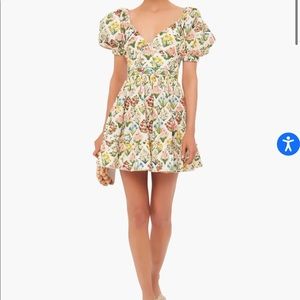 Agua by Agua Bendita Magdalena Manzanilla Mini Dress